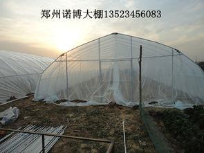 简易大棚搭建方法视频,视频教程详解