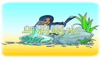 乌鸦喝水教学视频