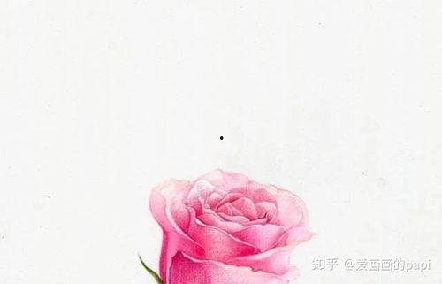 彩铅画视频,跟随视频轻松掌握绘画技巧