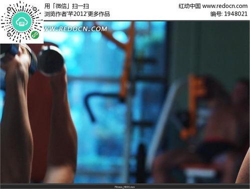 伸视频,探索科技前沿的奥秘之旅