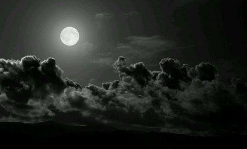 日月夜夜狠狠视频