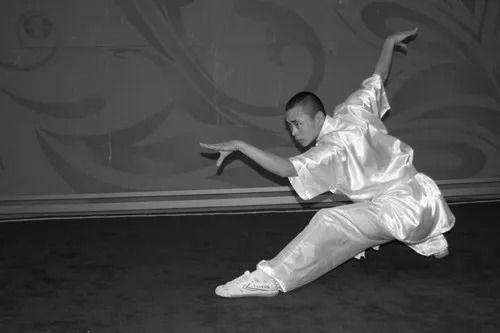 蛇拳视频,一招一式揭秘古老武术奥秘