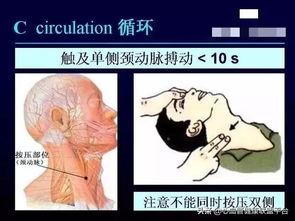 2015单人心肺复苏视频,关键时刻的生命守护指南