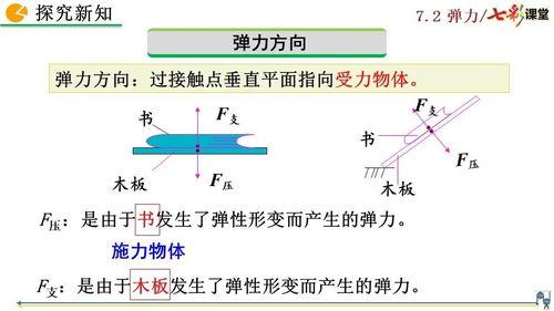 弹力物理视频