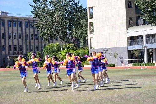 军体拳表演视频,激情四溢的武术表演瞬间